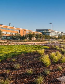 Bark and Mulch Installation Services