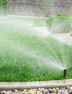 Commercial Irrigation & Sprinkler System Services