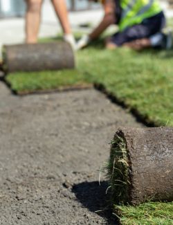 Turf Consultation & Management Services